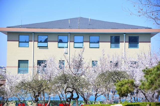 山东新东方春季美景